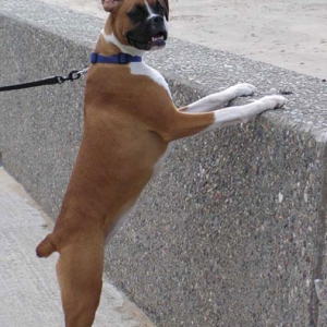 What's Over Here?