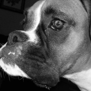 Close up head shot