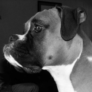 Close up head shot 2