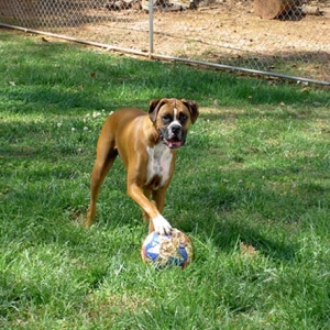 My little jock