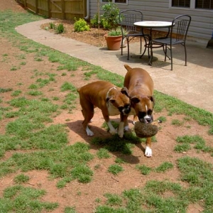 Lenox & Layla