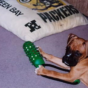 My toy, not your, MINE!