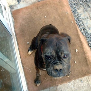 Teagan with mucky face