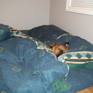 Xena in Bed