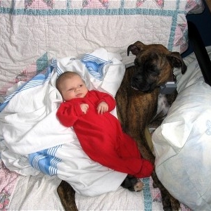 Griffin Baby sitting.