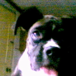 My Baby Boozer