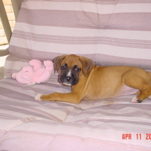 Ruby's 7 weeks