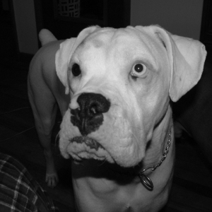 i know your going to give me a bite!!!