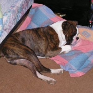 Napping