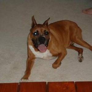 Duke