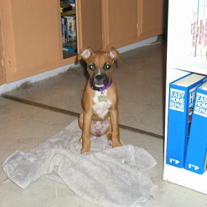Tyson