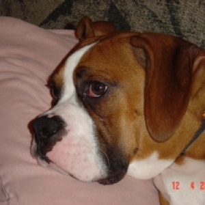 my sweet boy