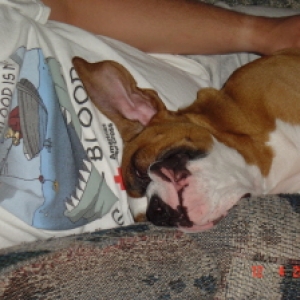 snoozin with daddy