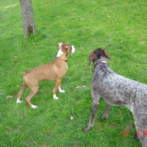 Tuffy and Titan