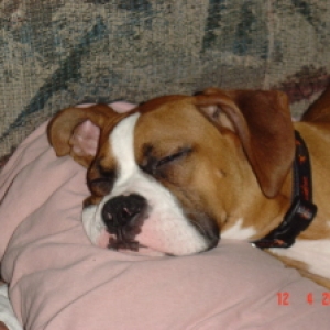sleepy head