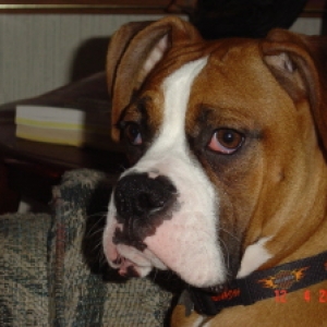 O.K. one more picture