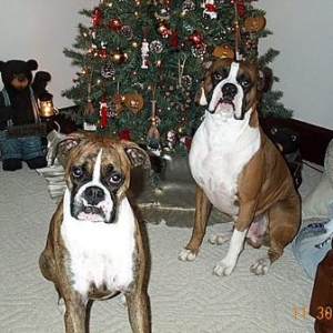 Give me my present now!!