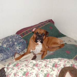 C'mon dad, let me go to sleep!