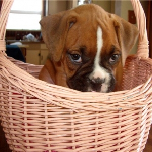 ...but Mom I'm Shy!