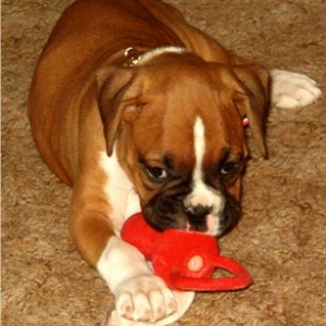 Our Little Girl!