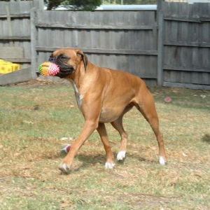 Just borrowing your toys Faithy