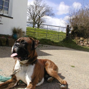 Jenson 20 months