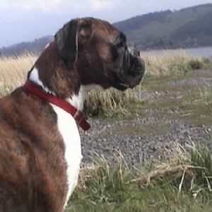 Sacha aged 2 last year
