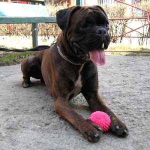 my ball
