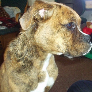 After a bath pictures