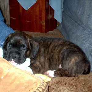 Our Baby Napping at Daddy's Feet