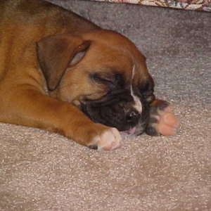 I am so tired.