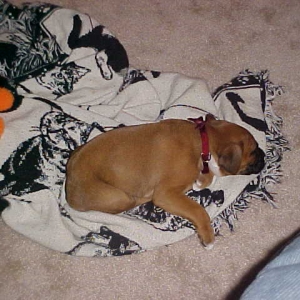 I love my blankie.