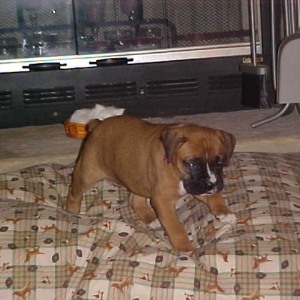 My bed sure is big.