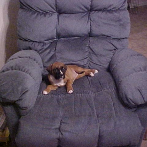 And I thought my bed was big.