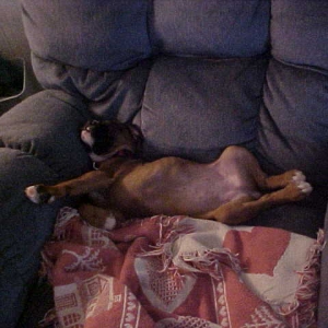 Ah, this is how it works.  And I have another blankie.