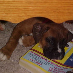 I'd phone you, but mom will only let me have the yellow pages.