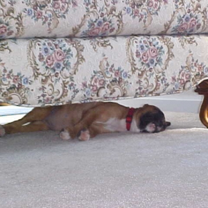 That is it, I need a nap.