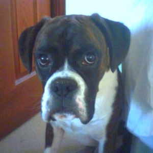 Marvin_3