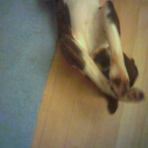 Marv_hiding