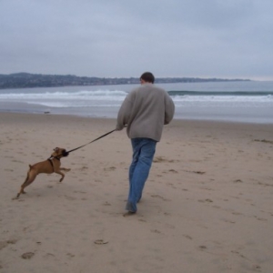on the beach