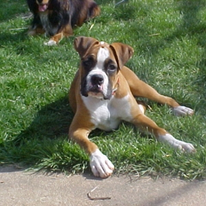 Enjoying the Sun