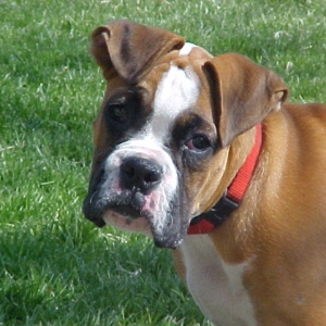 My Handsome Boy