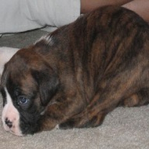 Layla @ 3 weeks