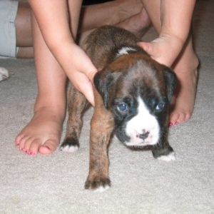 Layla @ 3 weeks