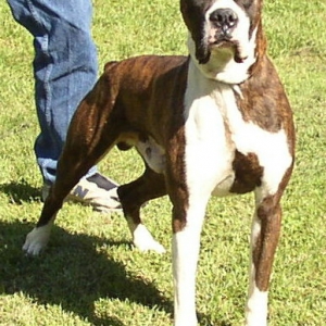 Lennox