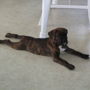 Nice cool floor
