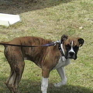 being a good boy 2