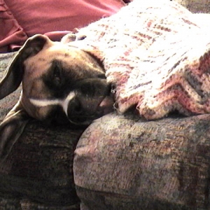 grabbin a nap