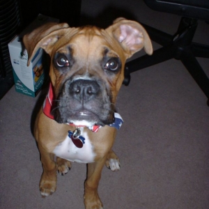 Handsome