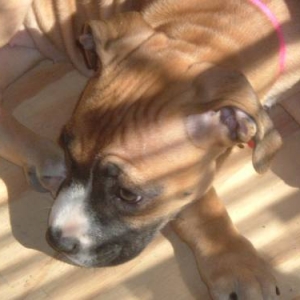 sunbathing